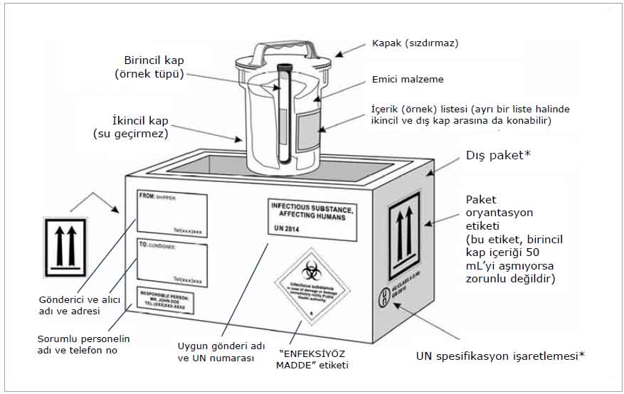 Kategori A enfeksiyöz maddelerin paketlenmesi ve etiketlenmesi için bir 3'lü paketleme örneği (şekil, Kaynak 4'ten alınmıştır) 