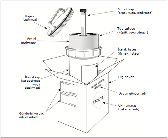 Şekil 6. Kategori A enfeksiyöz maddelerin paketlenmesi ve etiketlenmesi için bir 3'lü paketleme örneği (şekil, Kaynak 4'ten alınmıştır). 